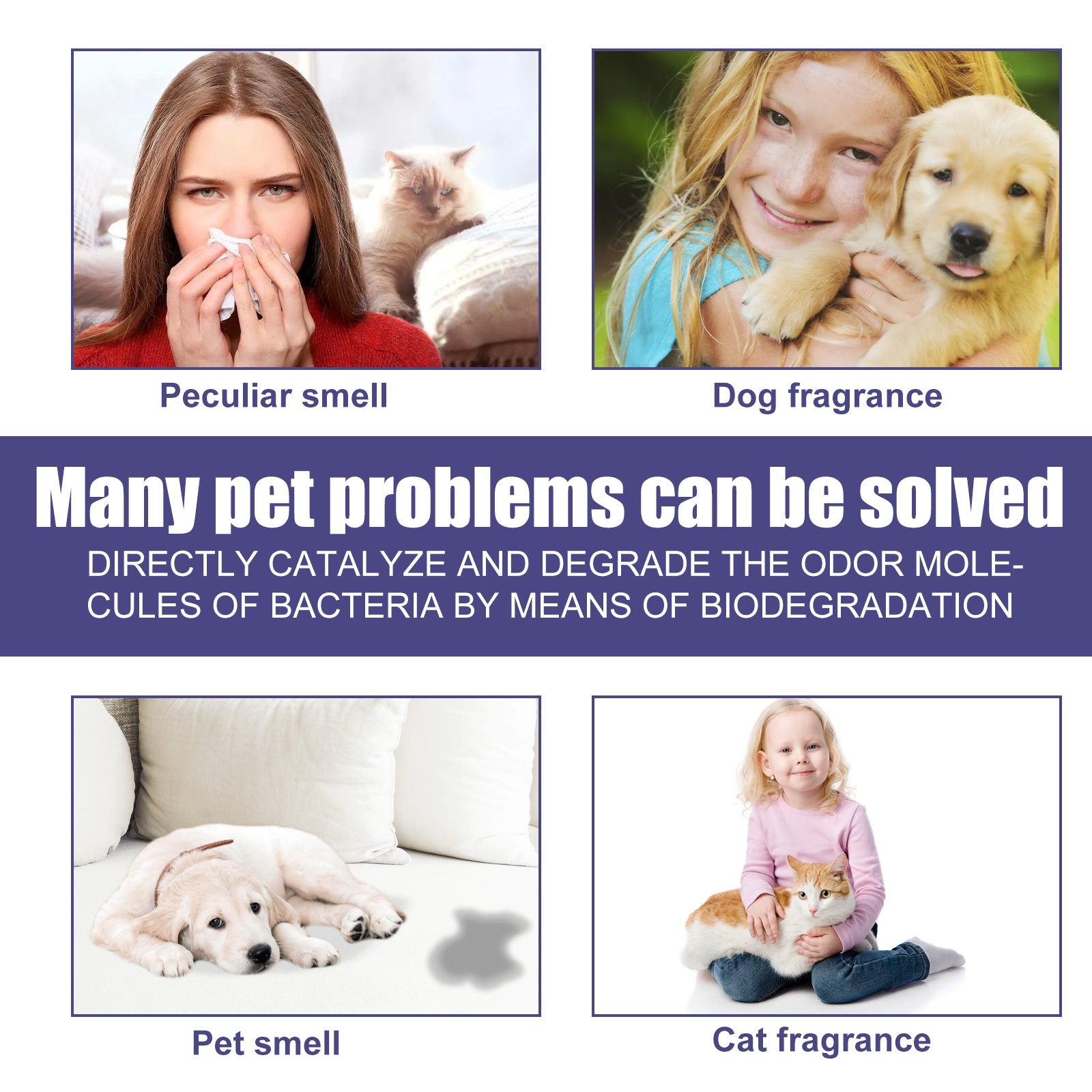 Pet Deodorant Spray To Remove Odors, Dogs And Cats  Smell Clean Air
