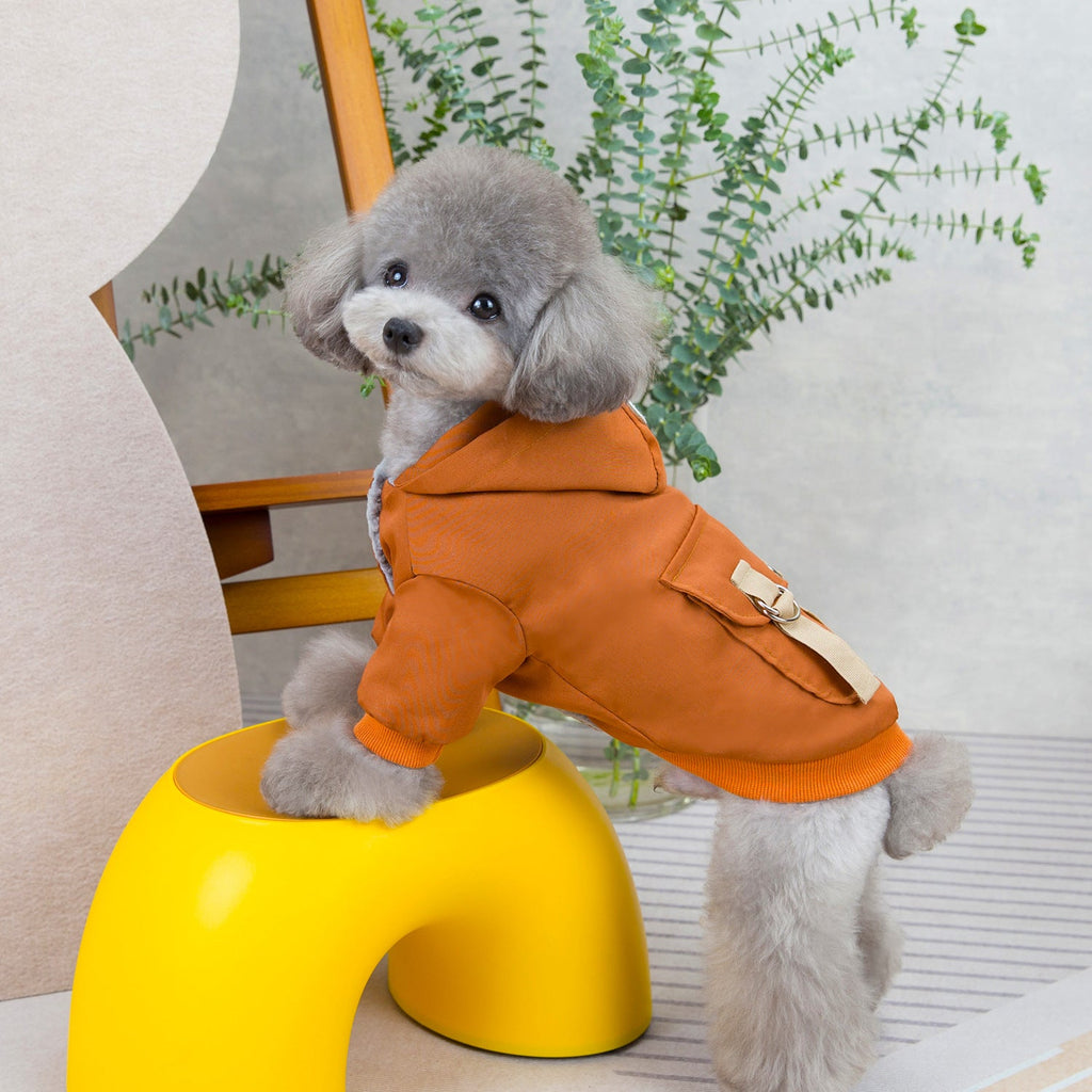 Clothing For Dogs Teddy Cats Cool Style Two Legged Cotton Clothes