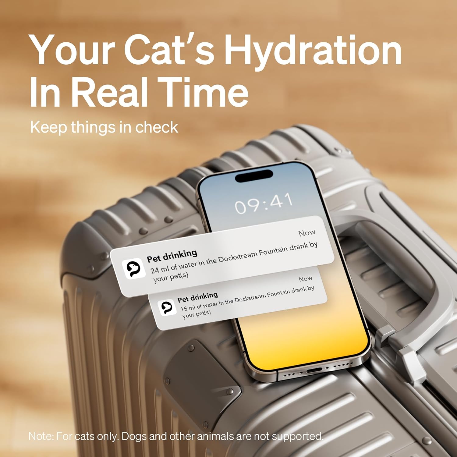 Dockstream Wireless Water Pump App Cat Fountain | Smart Stainless Steel Hydration System