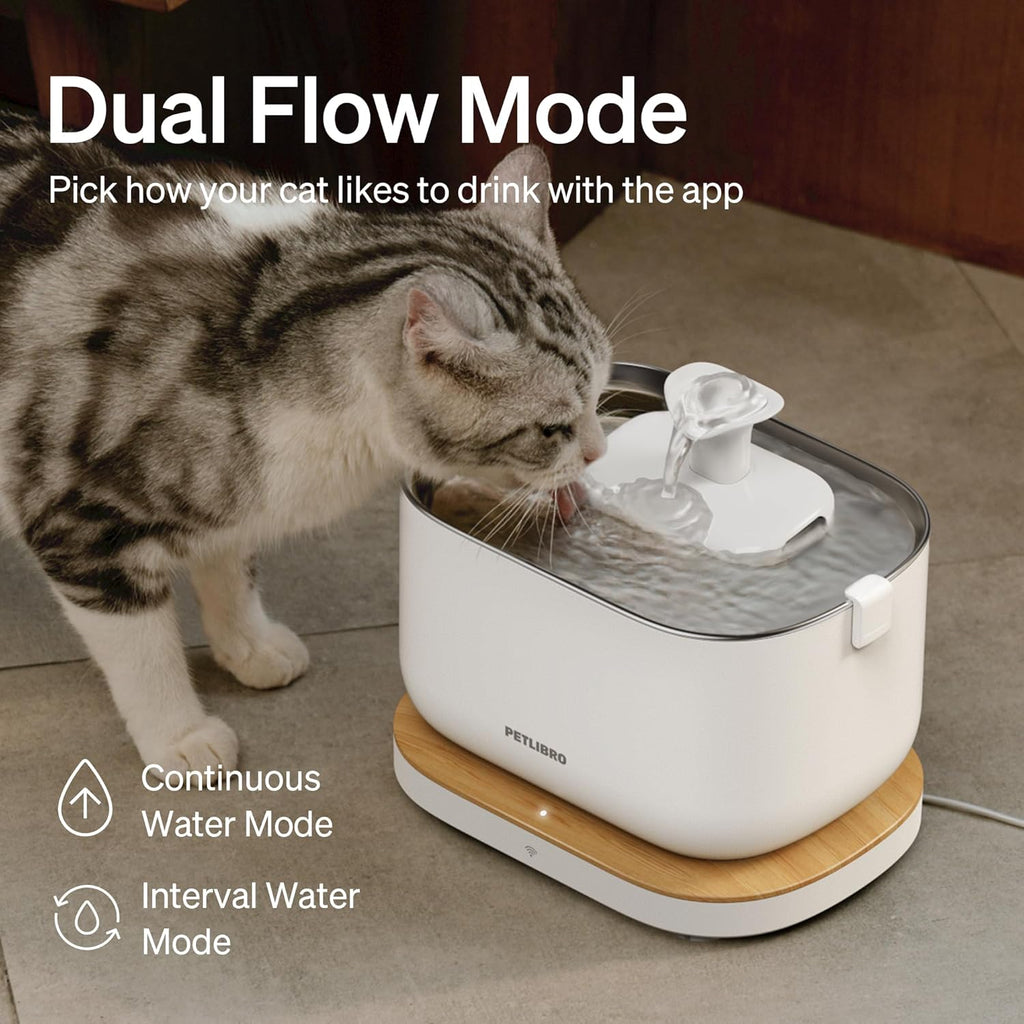 Dockstream Wireless Water Pump App Cat Fountain | Smart Stainless Steel Hydration System