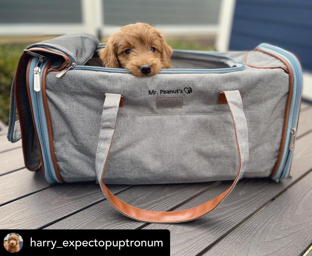 Mr. Peanut's Gold Series Big Apple XL Expandable Pet Carrier