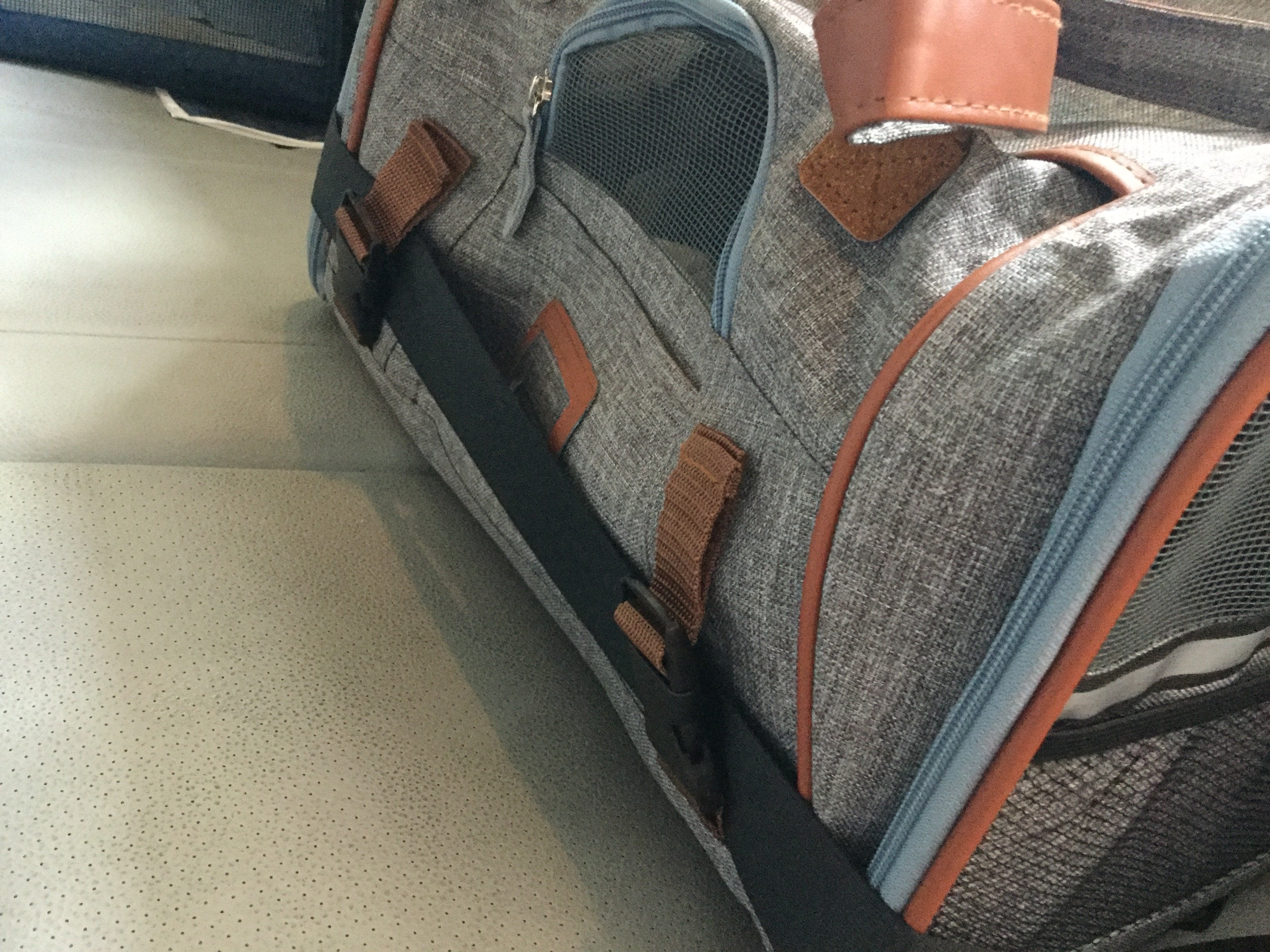 Mr. Peanut's Gold Series Big Apple XL Expandable Pet Carrier