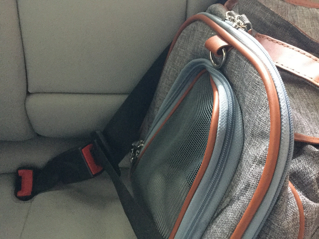 Mr. Peanut's Gold Series Big Apple XL Expandable Pet Carrier
