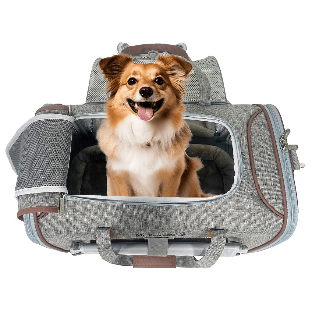 Mr. Peanut's Gold Series Big Apple XL Expandable Pet Carrier