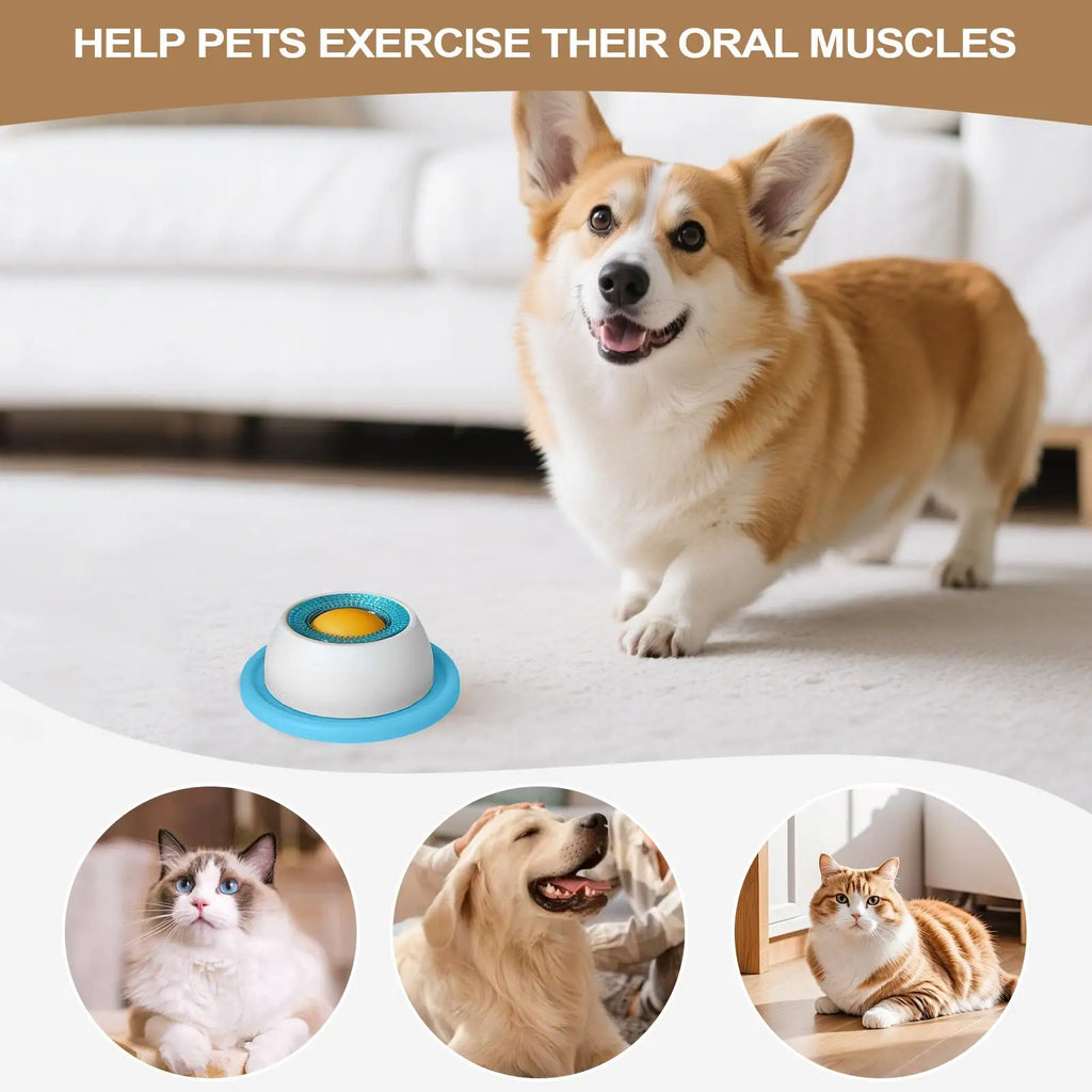 Toy Puzzle Toys Slow Feeder Puppy Supplies For Healthy Eating Food Crate