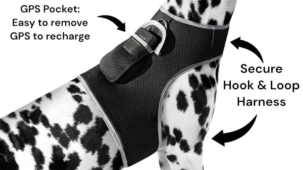 GPS Rechargeable Tracking Device for Pets Realtime Surveillance System Size:XXL