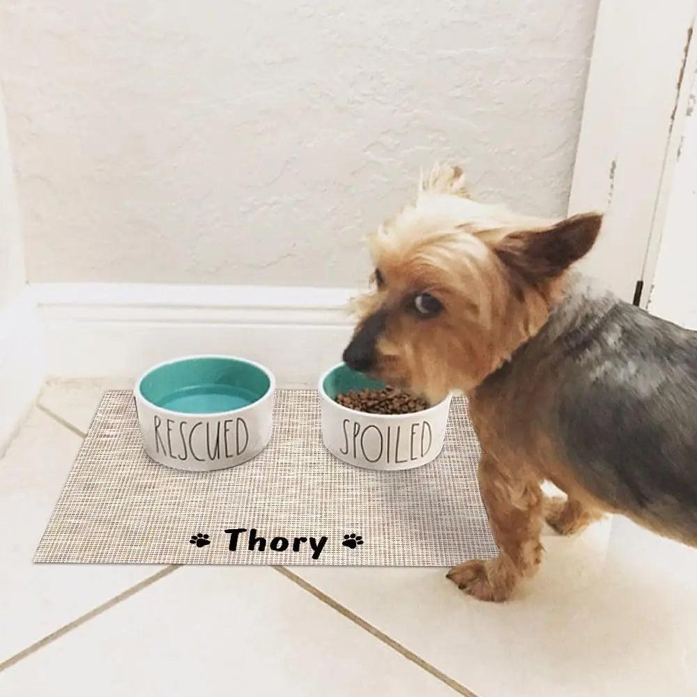 Durable Waterproof Pet Feeding Mat Water Cushion  Personalized Pet Mat