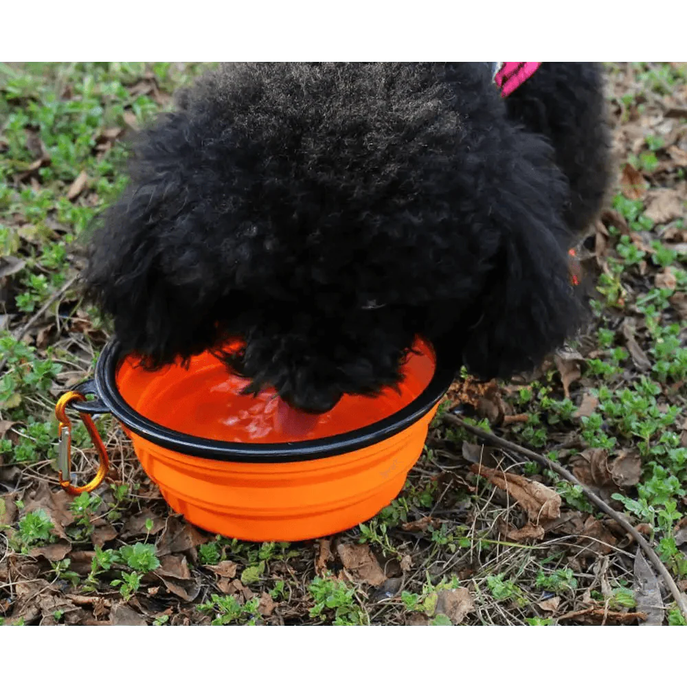 Universal Colorful Collapsible Silicone Dog Food Water Bowl